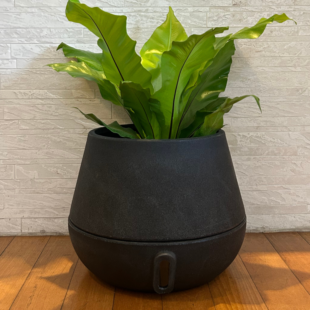 Vaso Brota Cuia 32x40
