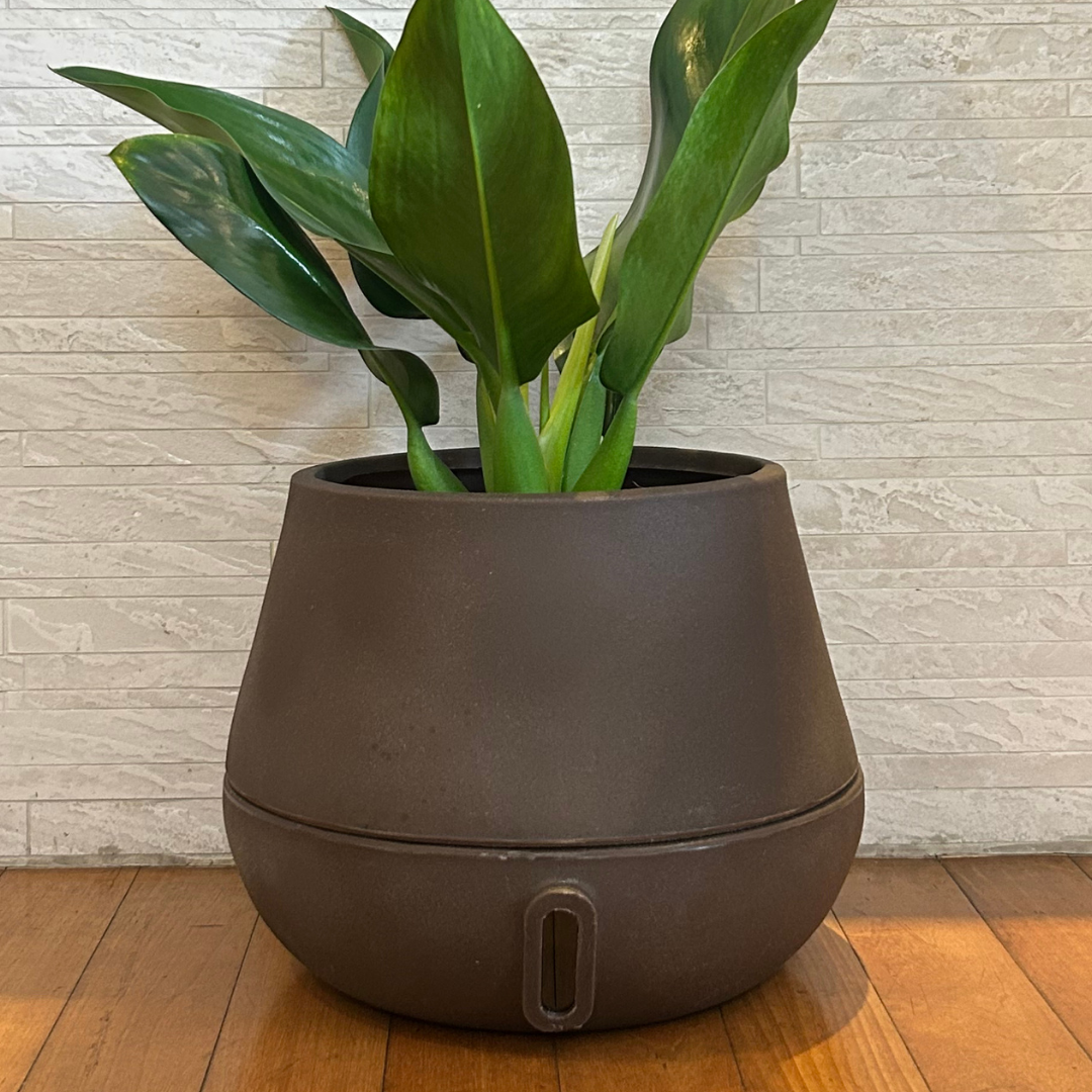 Vaso Brota Cuia 32x40