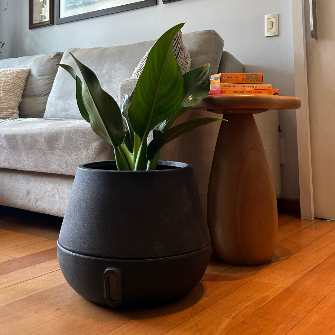 Vaso Brota Cuia 32x40