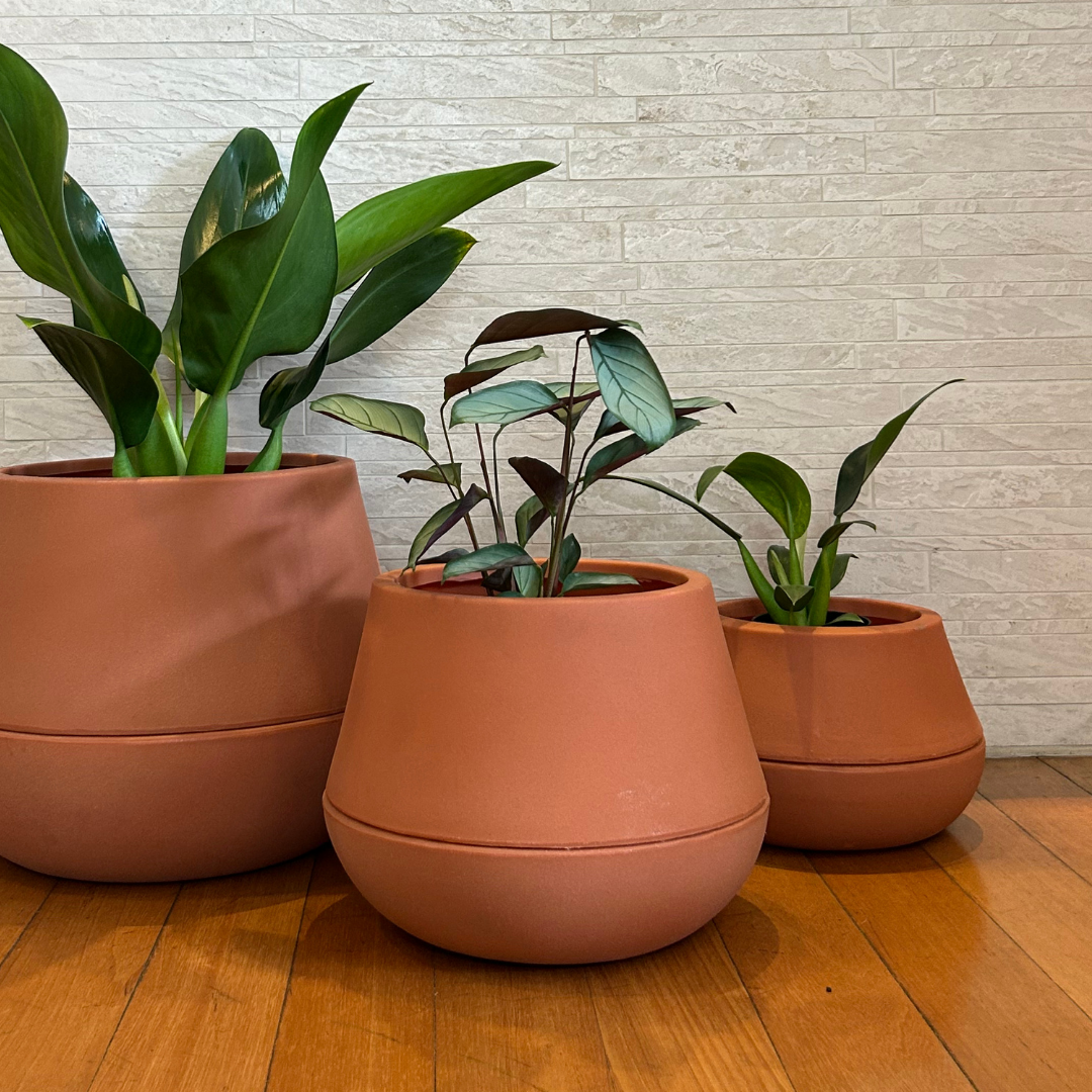 Vaso Brota Cuia 25x32
