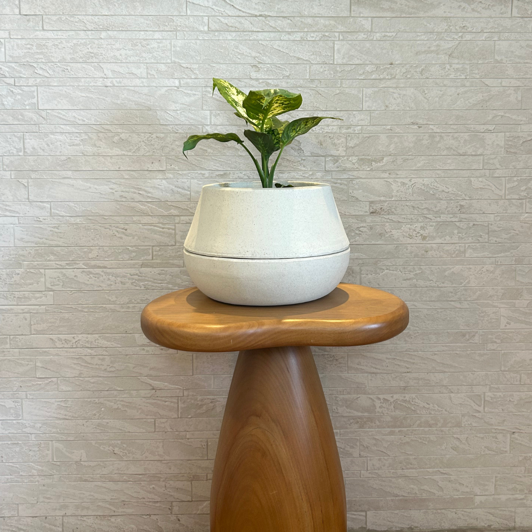 Vaso Brota Cuia 18x27