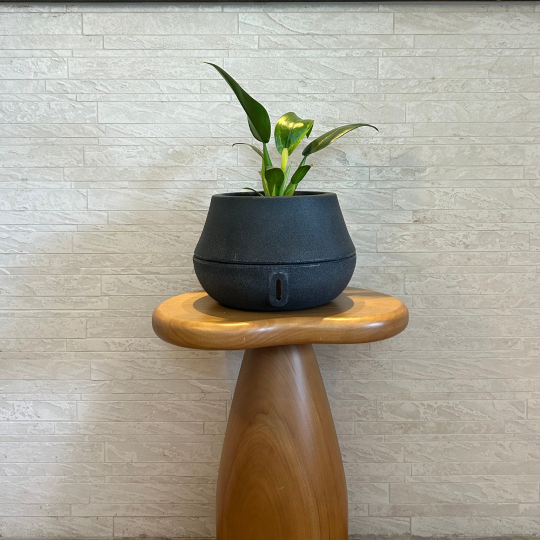 Vaso Brota Cuia 18x27