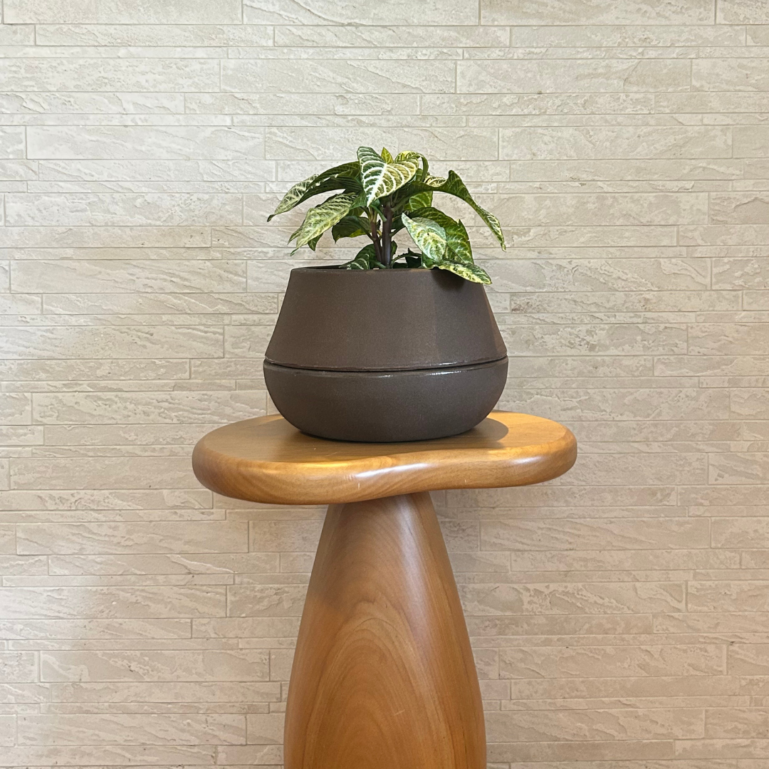 Vaso Brota Cuia 18x27