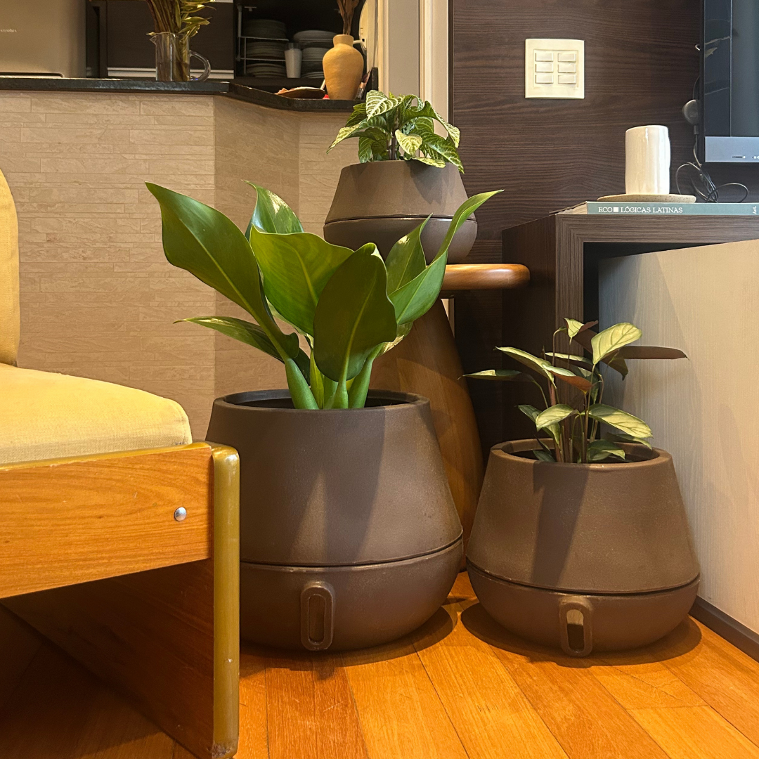 Vaso Brota Cuia 18x27