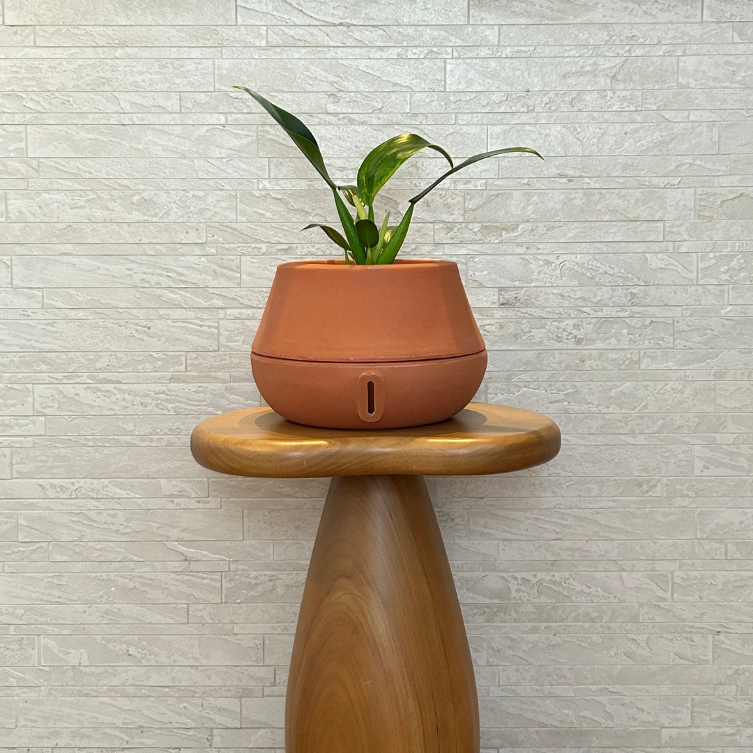 Vaso Brota Cuia 18x27