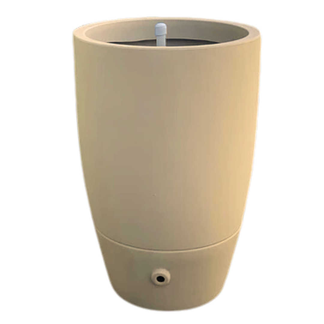 Cone Vietnamita Areia