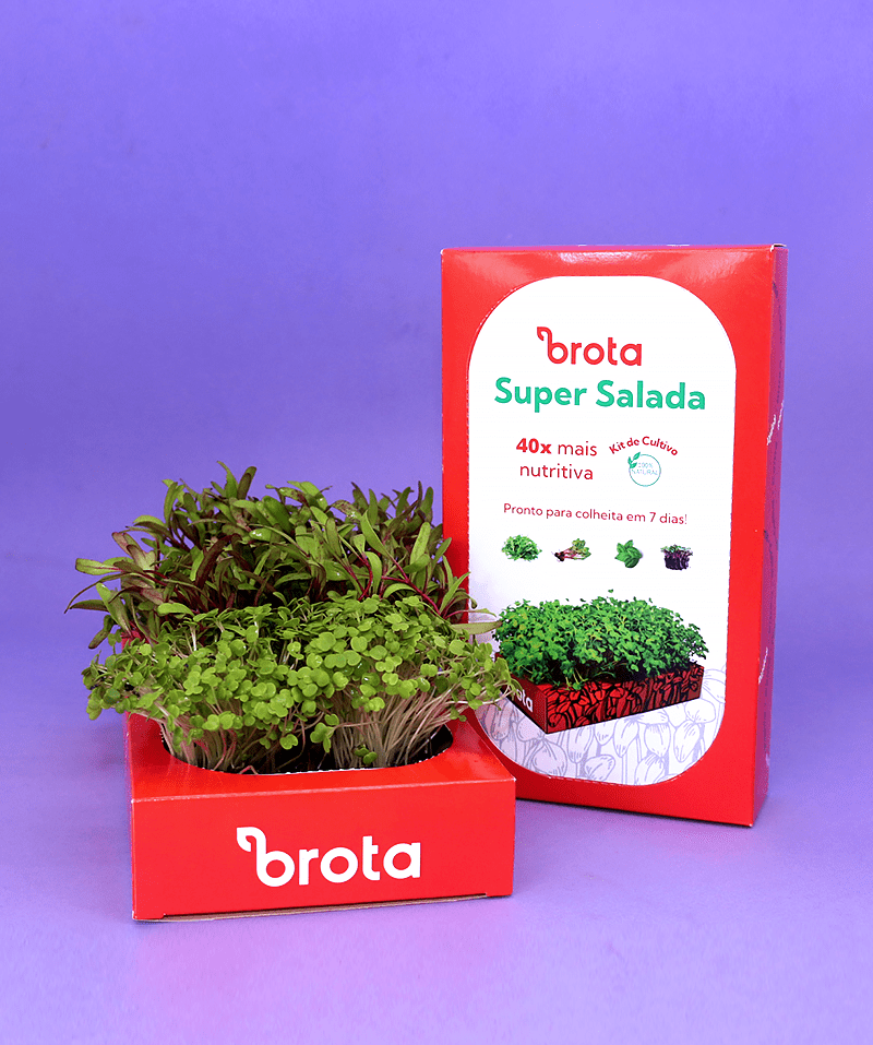 Kit Super Salada 10x