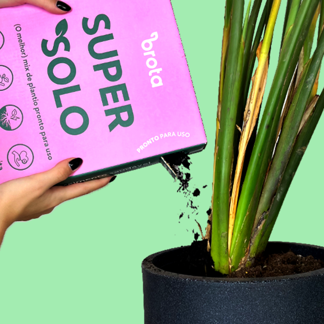 Super Solo Substrato para Plantio