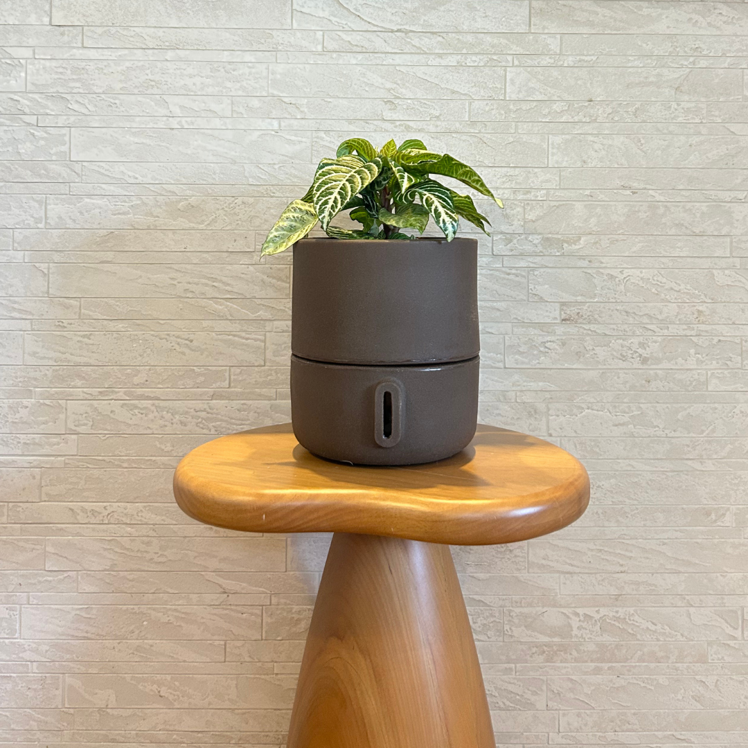Vaso Brota Urbi 22x20