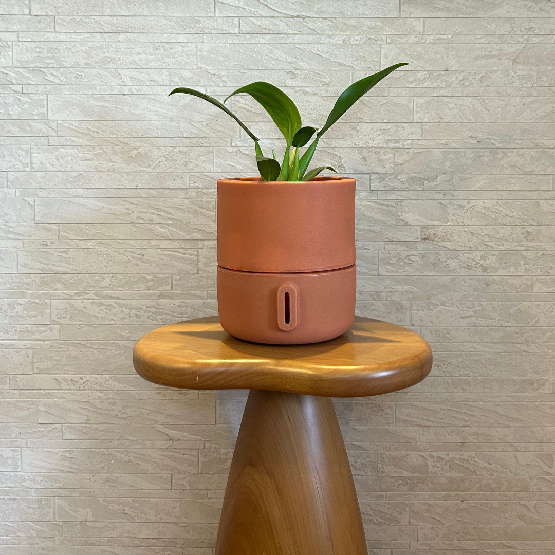 Vaso Brota Urbi 22x20