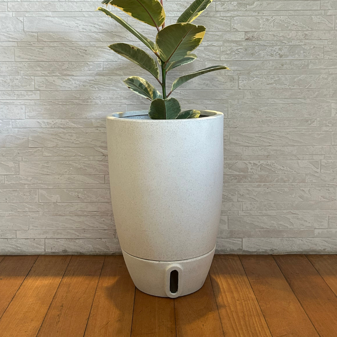 Vaso Brota Cone Vietnamita 45x30