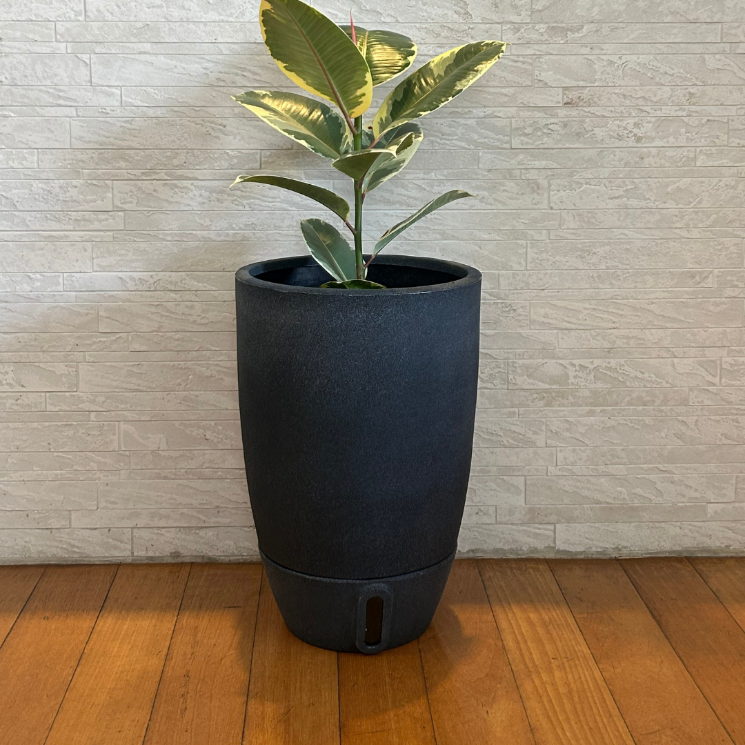 Vaso Brota Cone Vietnamita 45x30