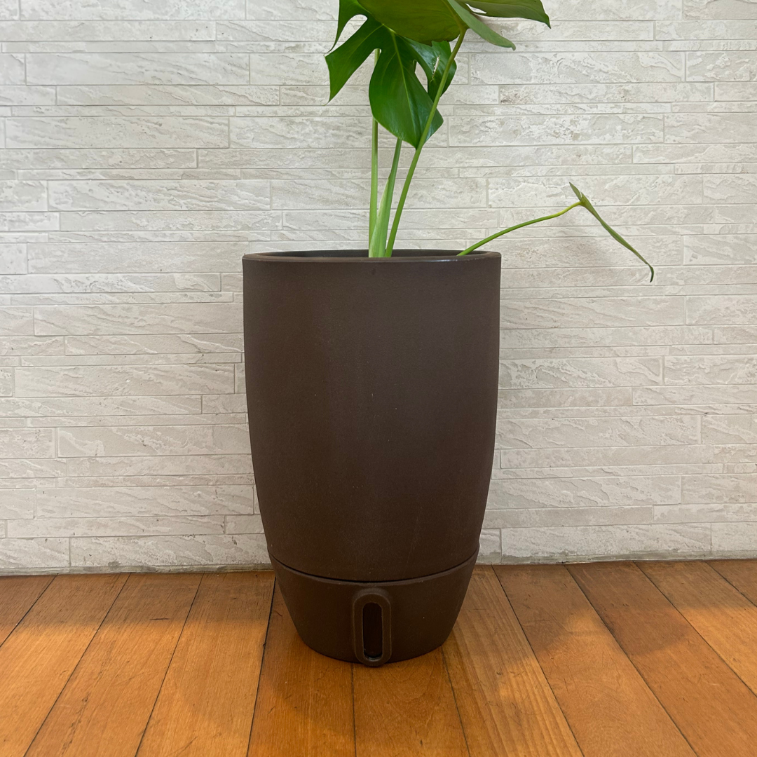 Vaso Brota Cone Vietnamita 45x30