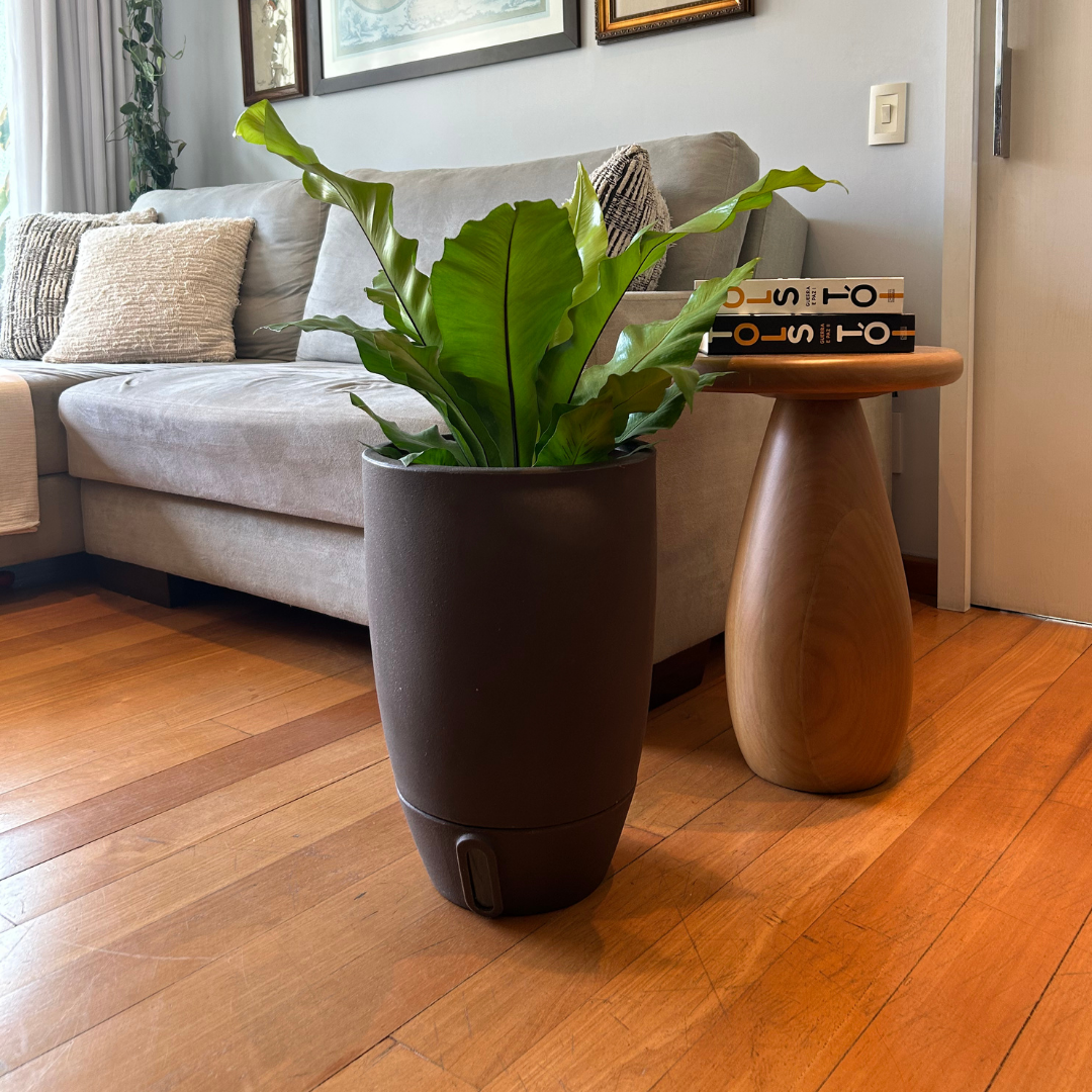 Vaso Brota Cone Vietnamita 45x30