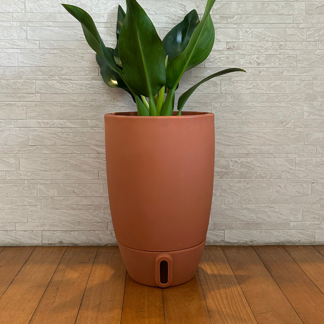 Vaso Brota Cone Vietnamita 45x30