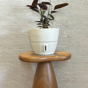 Vaso Brota Cone Vietnamita 22x24