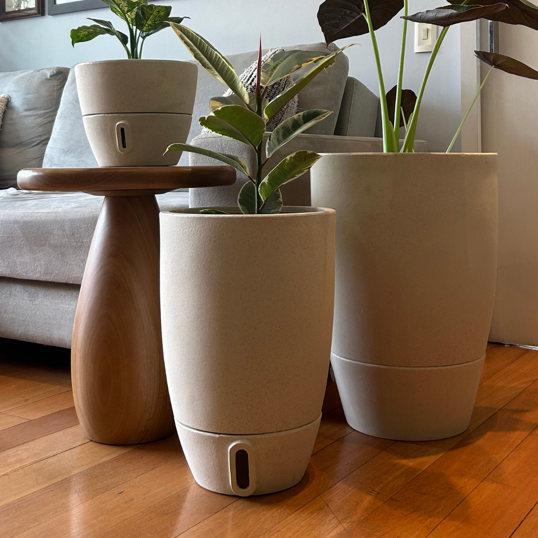 Vaso Brota Cone Vietnamita 45x30