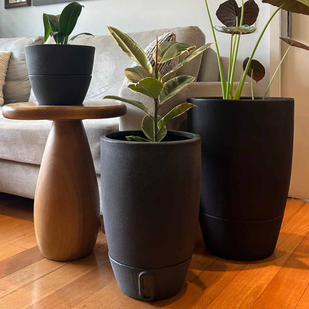 Vaso Brota Cone Vietnamita 45x30