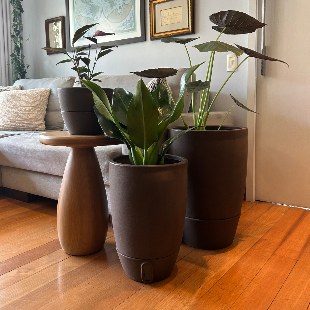 Vaso Brota Cone Vietnamita 45x30