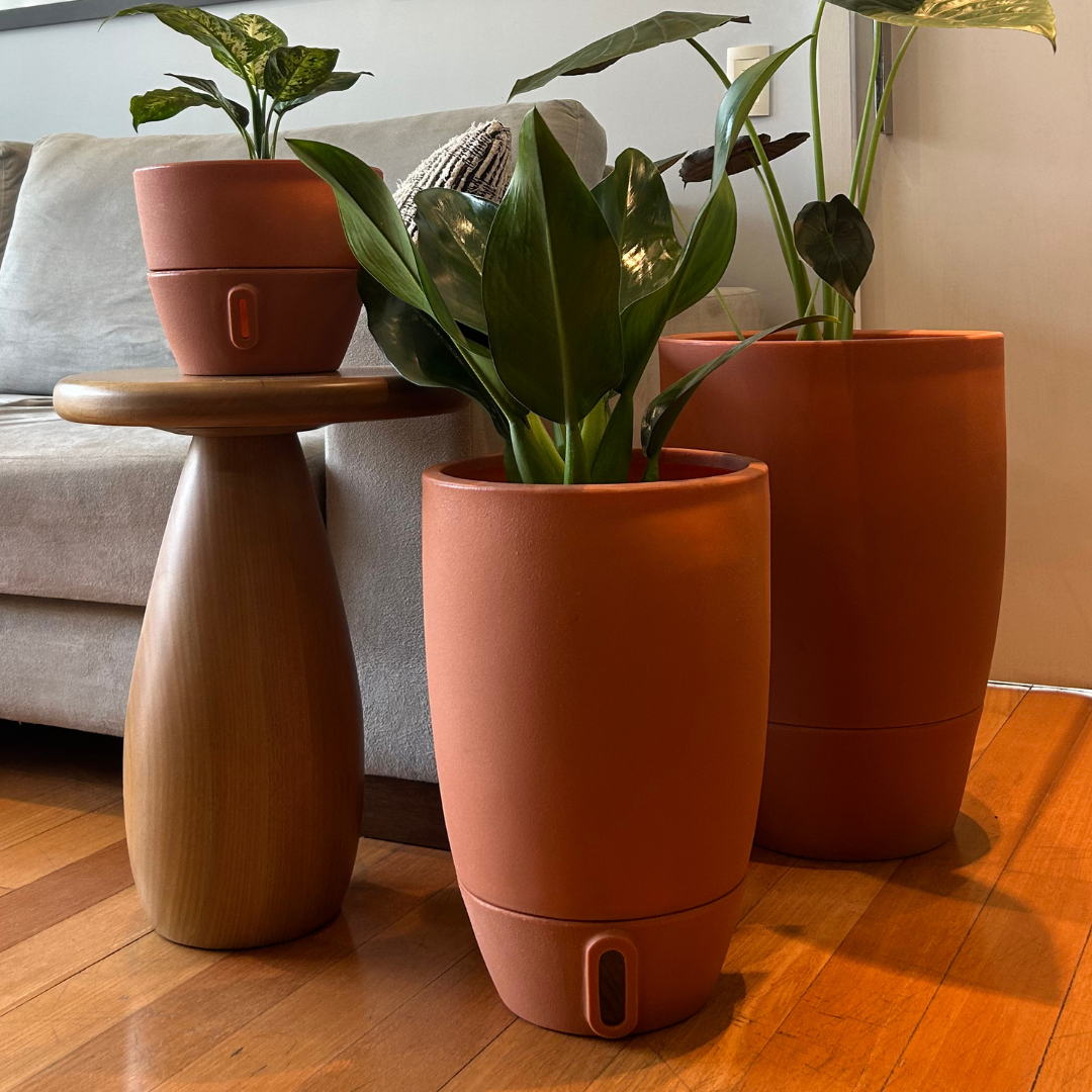 Vaso Brota Cone Vietnamita 45x30