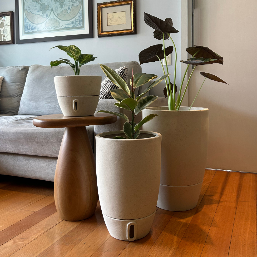 Vaso Brota Cone Vietnamita 45x30