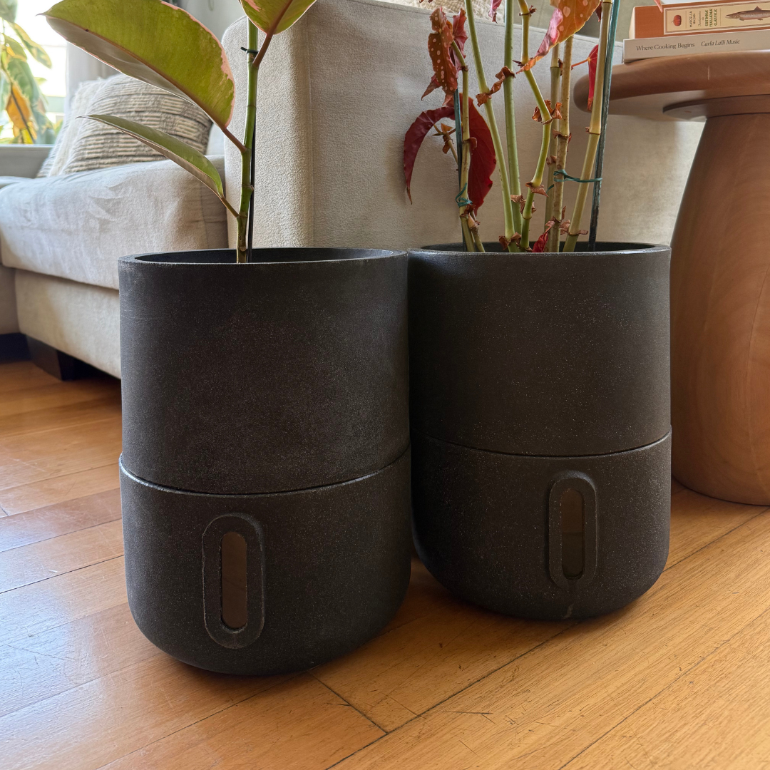 Kit 2 Vasos Inteligentes Brota