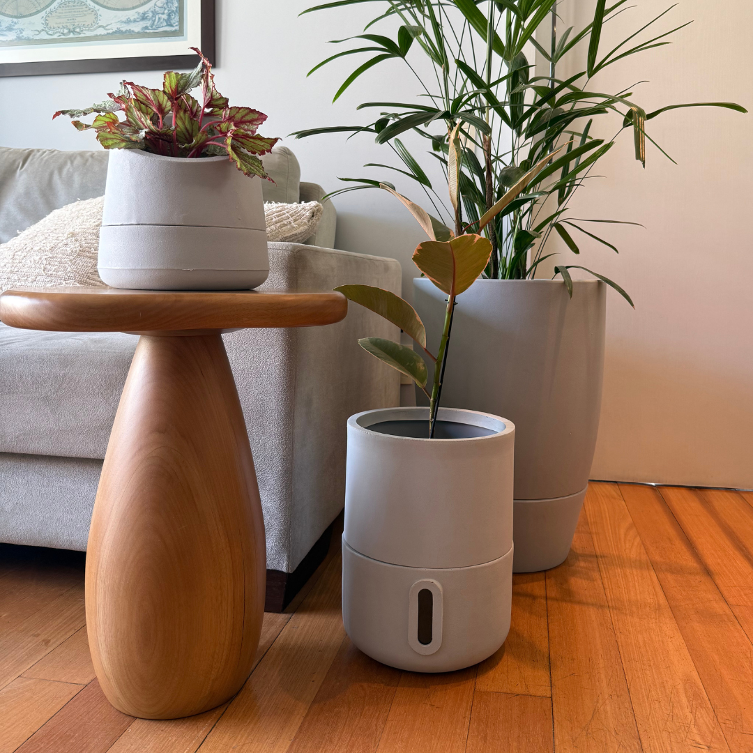 Kit 3 Vasos Inteligentes Brota