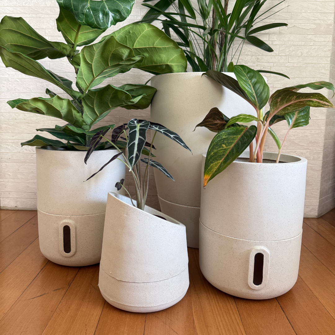Kit 4 Vasos Inteligentes Brota