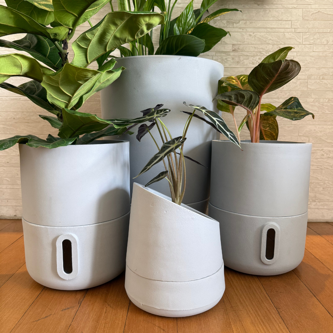 Kit 4 Vasos Inteligentes Brota