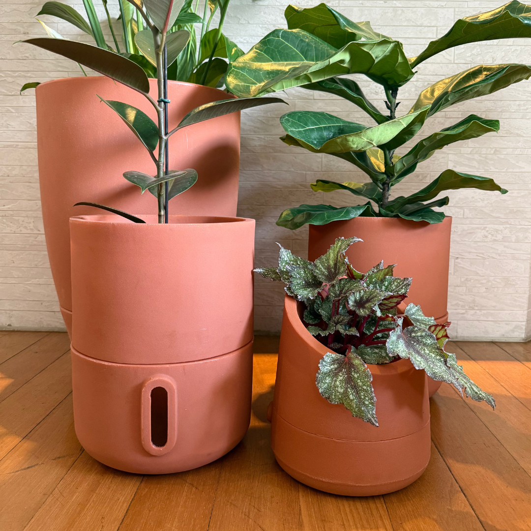 Kit 4 Vasos Inteligentes Brota