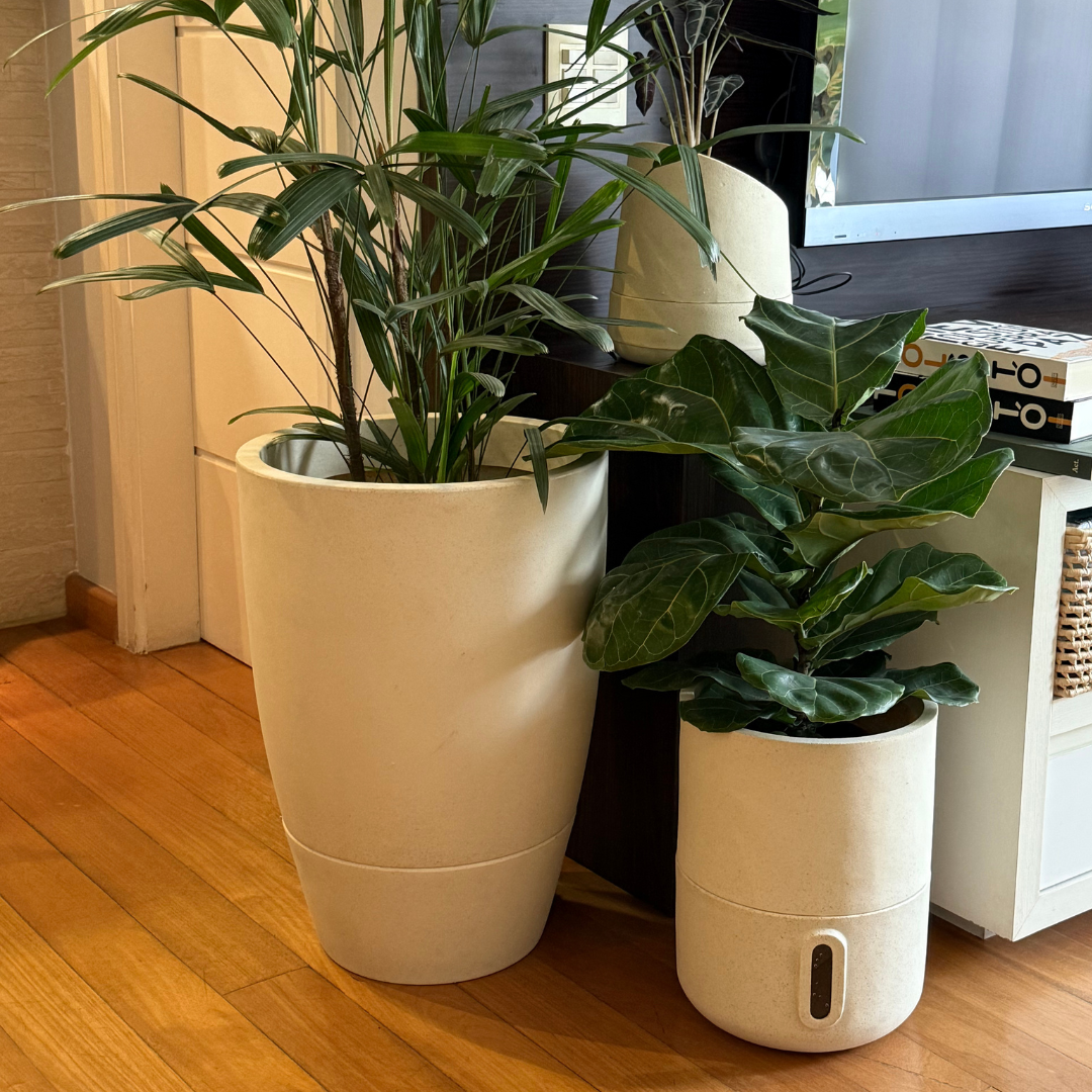 Kit 3 Vasos Inteligentes Brota