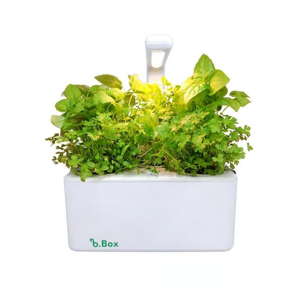 b.Box Led - Horta Inteligente (2x Manjericão, 2x Salsa, 2x Coentro)