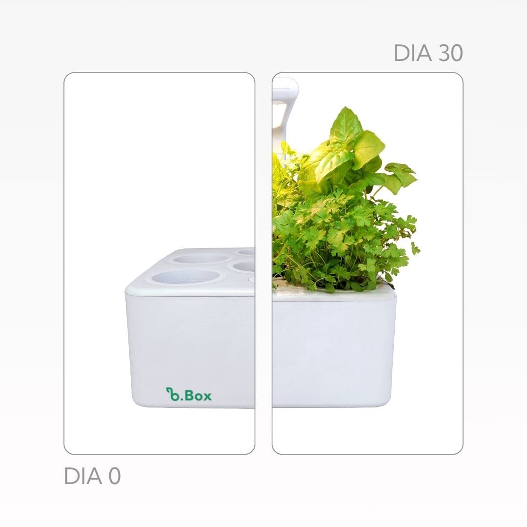 Brota Box Led
