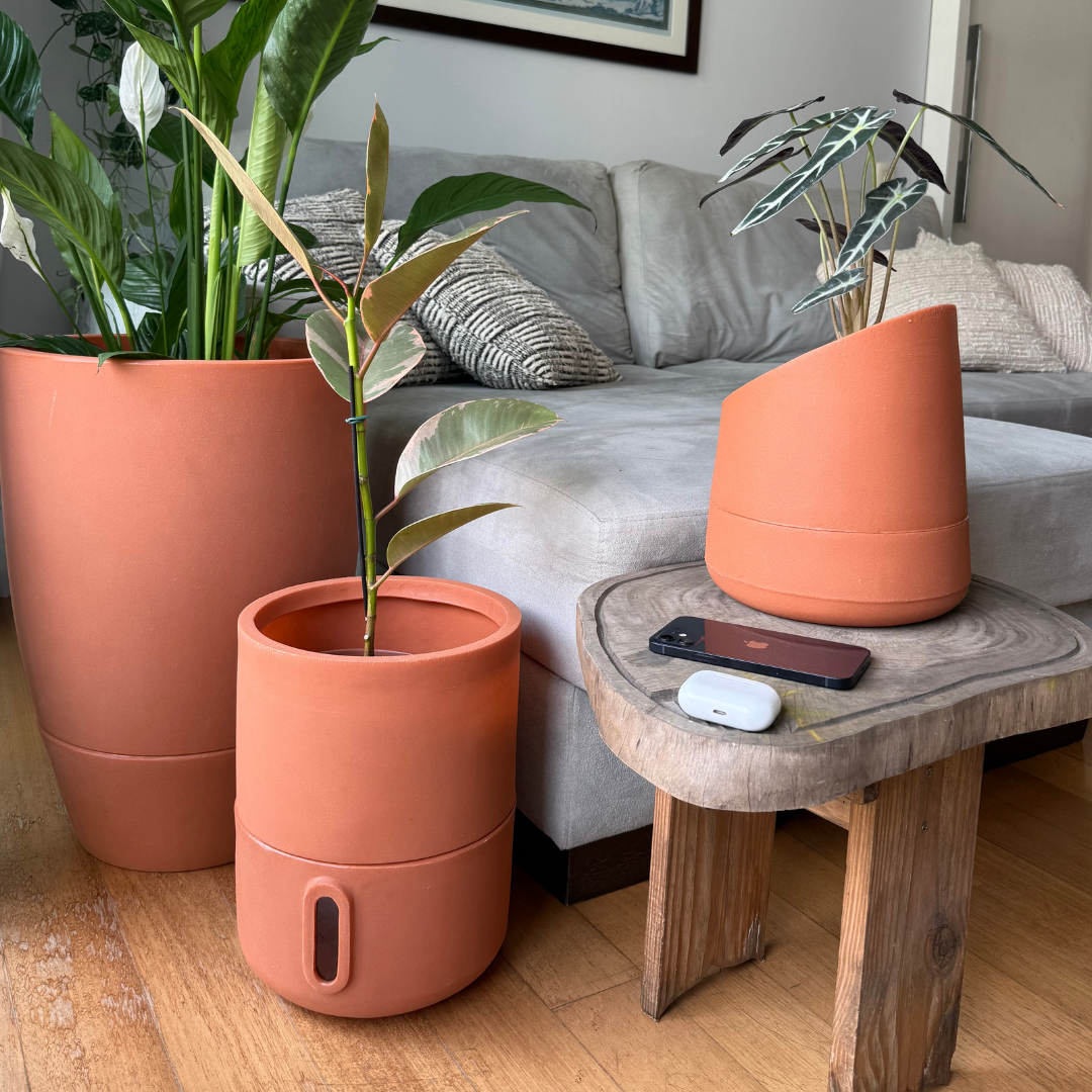 Vaso Brota Cone Vietnamita 55x38
