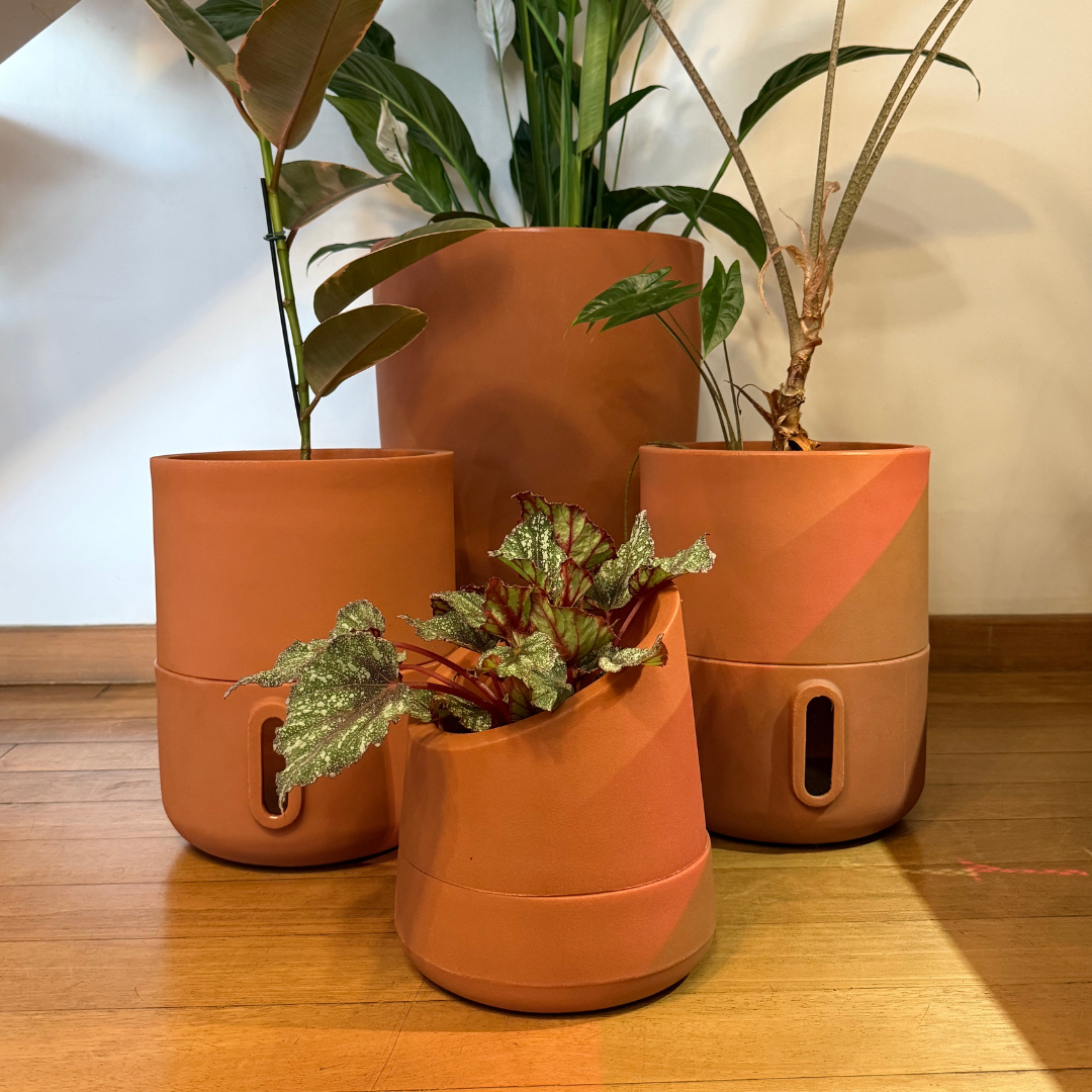 Vaso Brota Cone Vietnamita 55x38