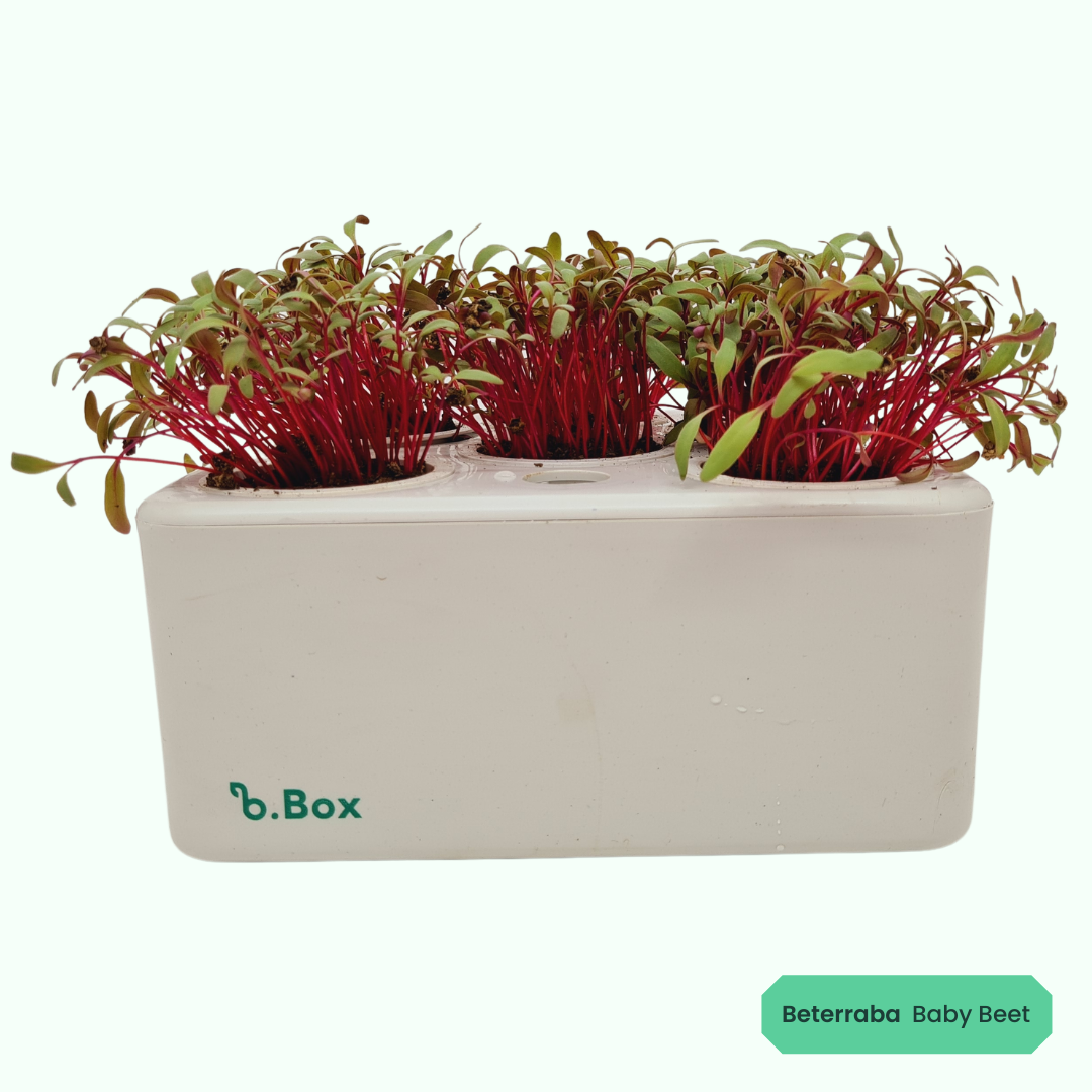 Beterraba Baby Beet | 3 cápsulas