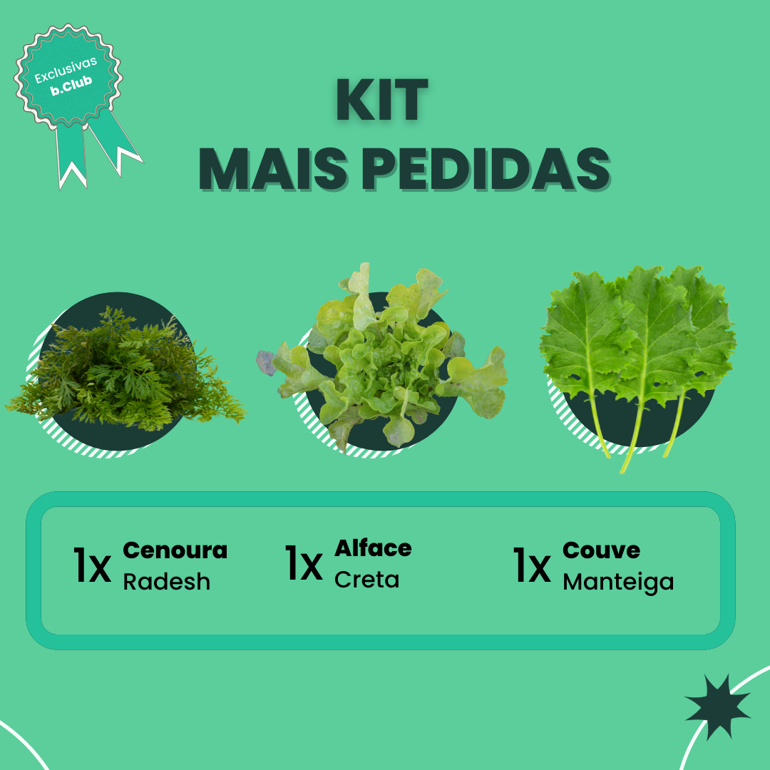 Kit Mais Pedidas
