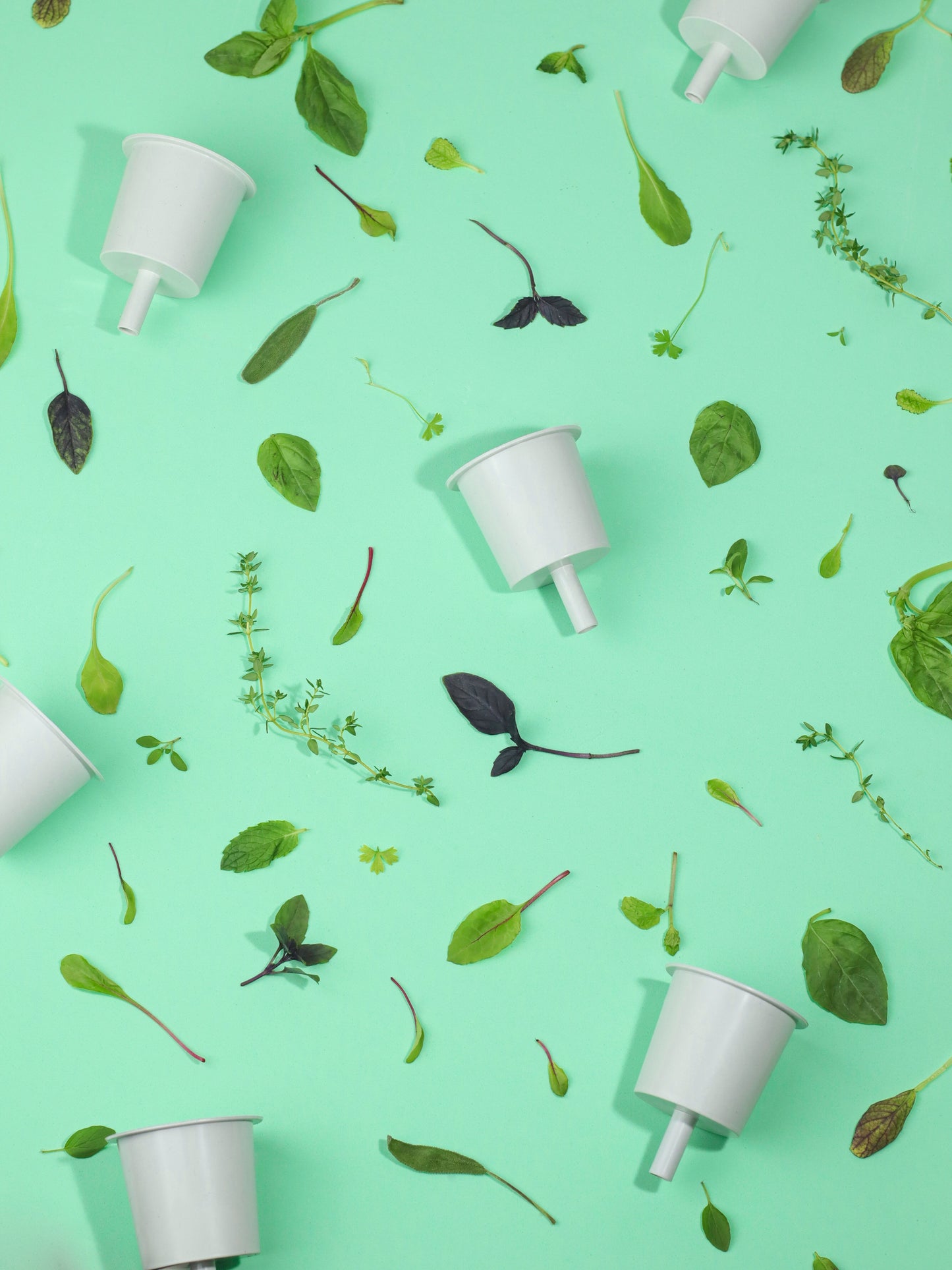 Pack Personalizado | 3 cápsulas