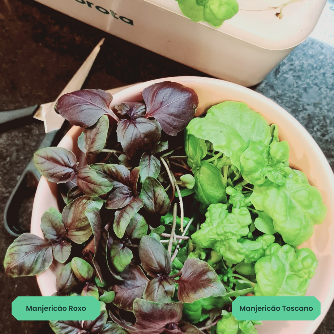 Kit Pesto | 3 cápsulas