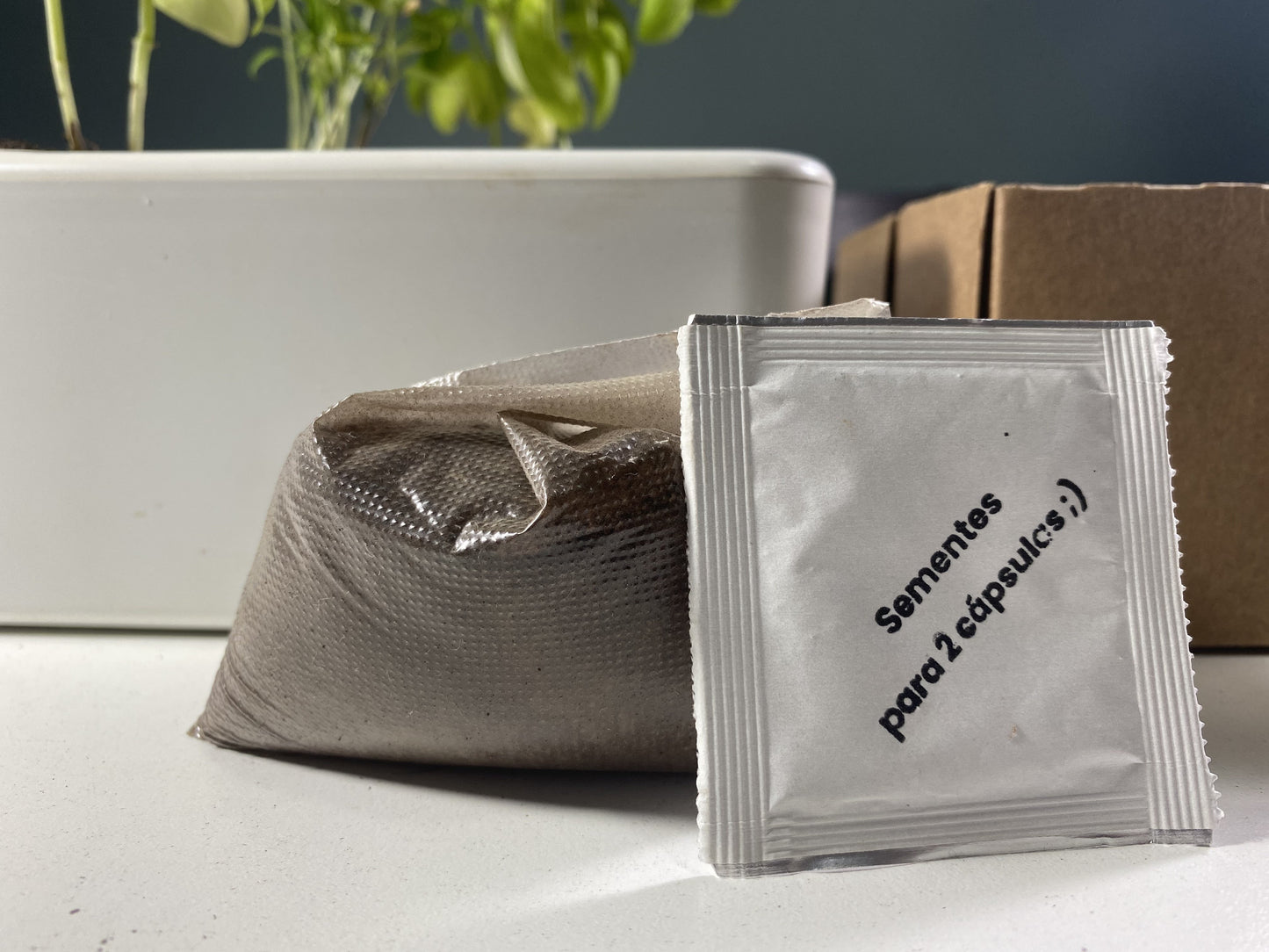 terra e semente da brota