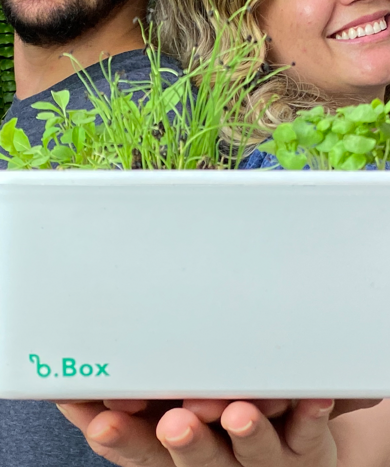 b.Box clássica - a primeira horta inteligente