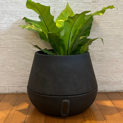Vaso Brota Cuia 32x40