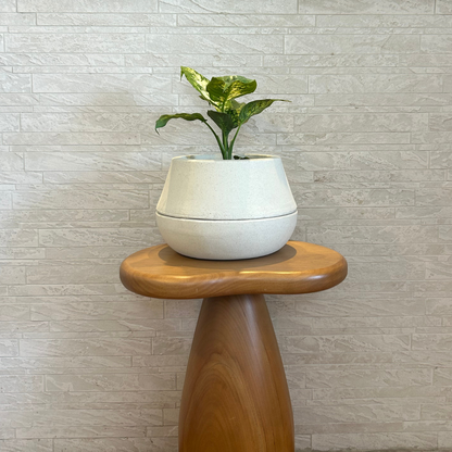 Vaso Brota Cuia 18x27