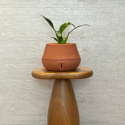 Vaso Brota Cuia 18x27