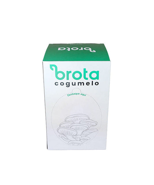 Brota Cogumelos - Shimeji Branco | 1-pack - C