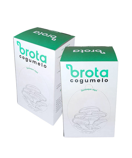 Brota Cogumelos - Shimeji Branco | 2-pack - B