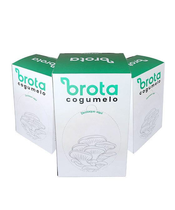 Brota Cogumelos - Shimeji Branco | 3-pack - B