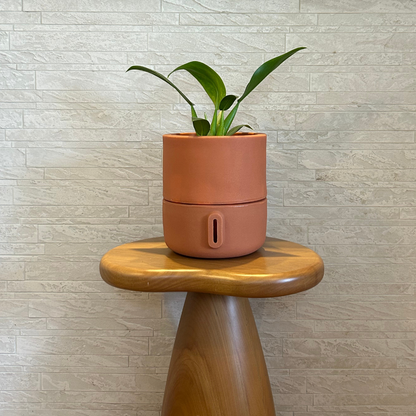 Vaso Brota Urbi 22x20