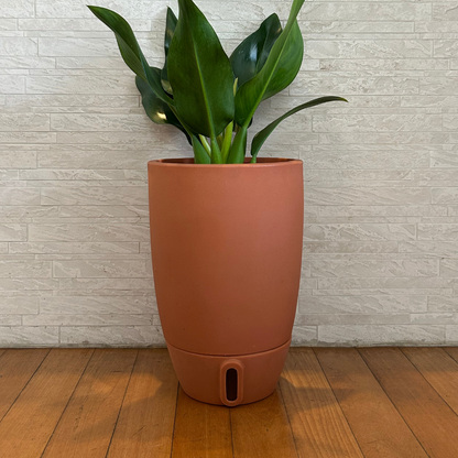 Vaso Brota Cone Vietnamita 45x30