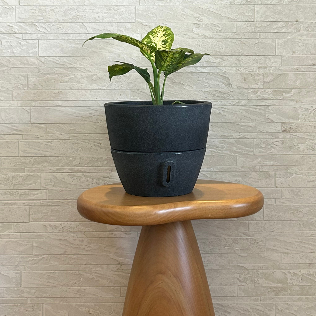 Vaso Brota Cone Vietnamita 22x24